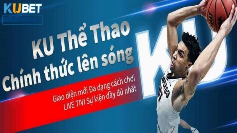 Cá cược thể thao sôi động 